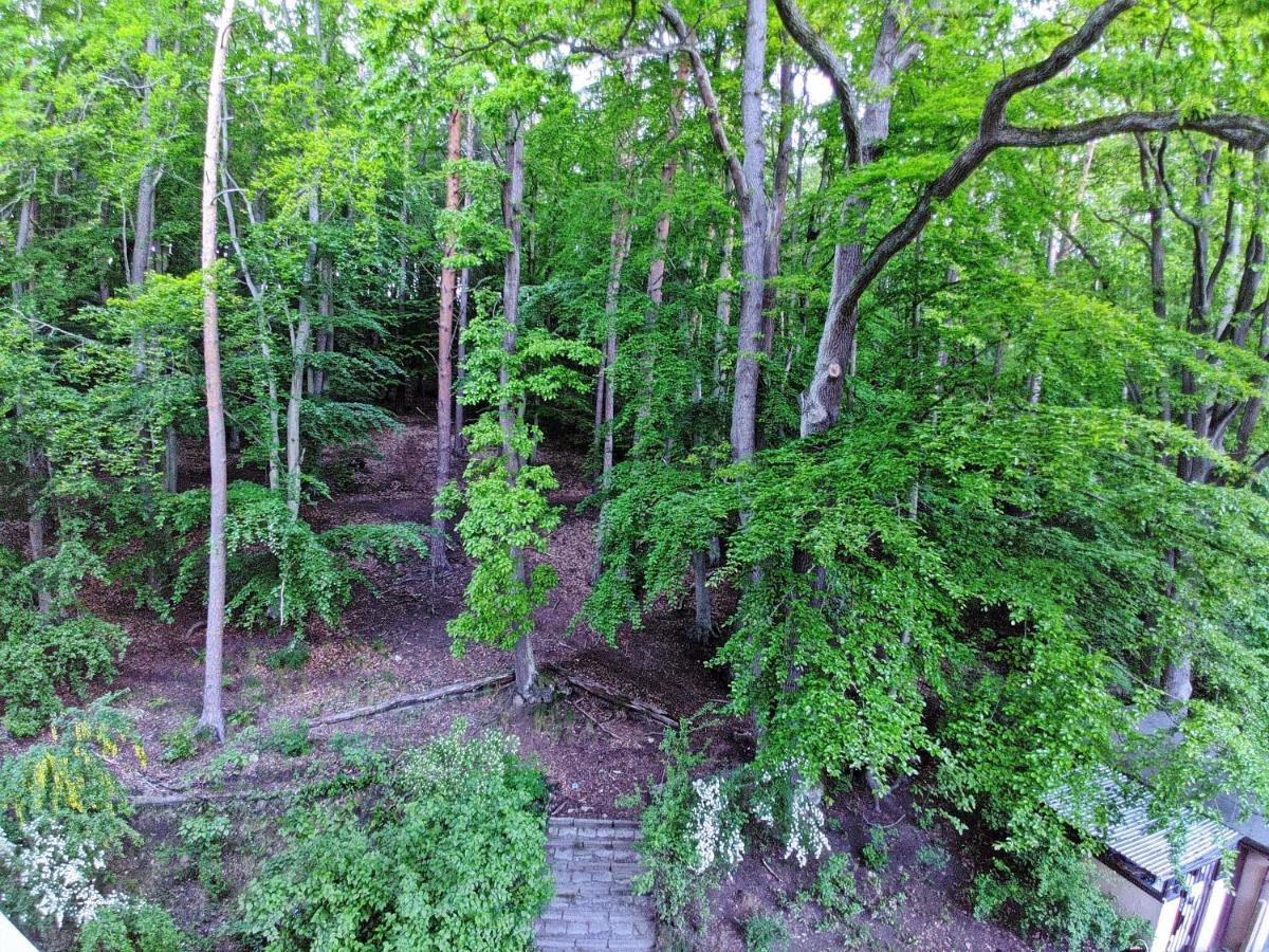 "Near The Forest" Apartment Сопот Экстерьер фото